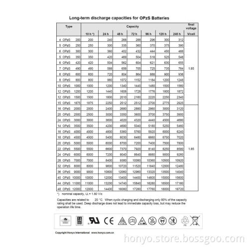 6 OPZS 300 Tubular Plate Battery